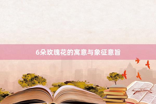6朵玫瑰花的寓意与象征意旨