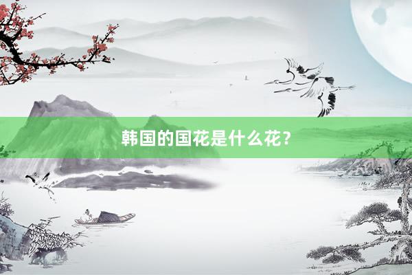 韩国的国花是什么花?