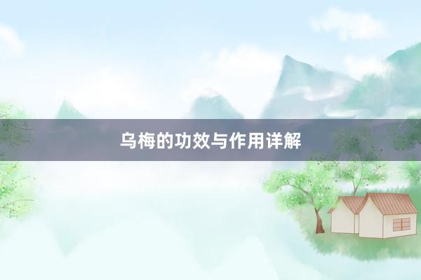 乌梅的功效与作用详解