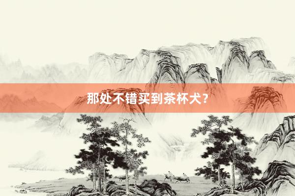 那处不错买到茶杯犬？
