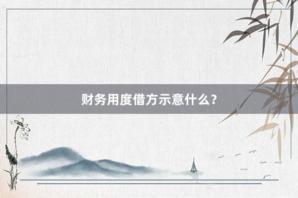 财务用度借方示意什么？